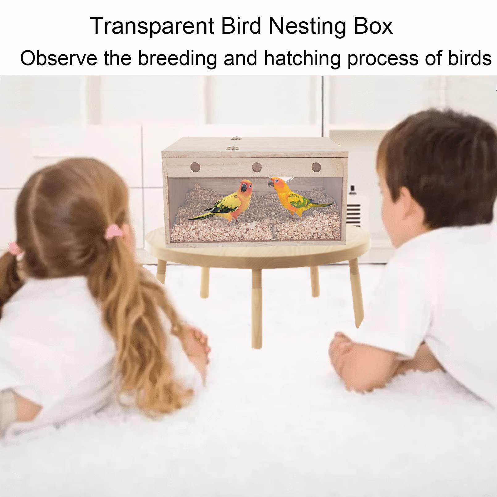 Amazon.com : Tfwadmx Lovebird Nesting Box Transparent Bird